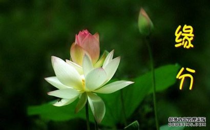 婚姻幸福的秘密，就藏在这四个字里