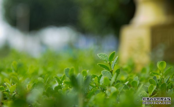 关于下雨天的唯美句子 期待雨后彩虹却更喜爱雨