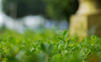 关于下雨天的唯美句子 期待雨后彩虹却更喜爱雨