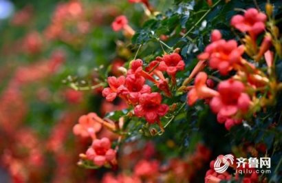 五月再见六月你好朋友圈说说 你好六月迎接六月