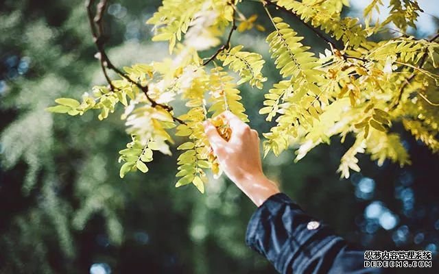 《菜根谭》：为人处世，方圆并用！