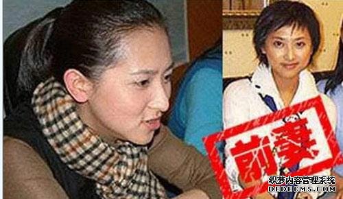 谢贤李双江汪涵 男星鲜为人知的前妻(图)