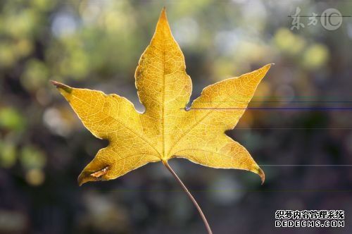 十月你好图片 10月你好经典简短说说句子励志语录大全