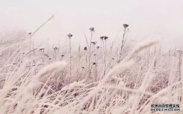 【人生感悟】 一杯水，看透人生