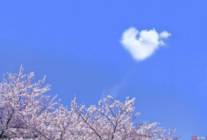 重阳节对老人的祝福语一句话 重阳节老人寄语关