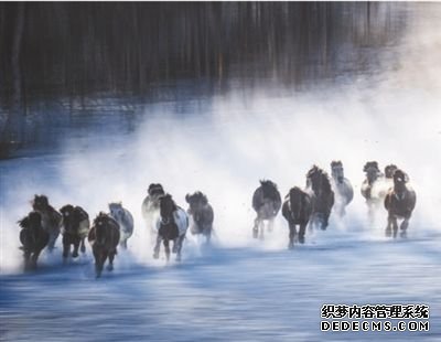 大鹏之动，非一羽之轻也；骐骥之速，非一足之力也（习近平引用的名言）