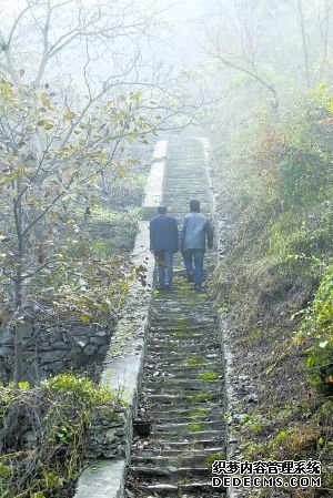 蒲洼村是个山村，村舍依山而建。村长隗永忠带着朱震登上山间石阶，去探访居住在山里的村民。