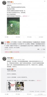 假名言 真鸡汤！明星为什么这么喜欢引用伪语录