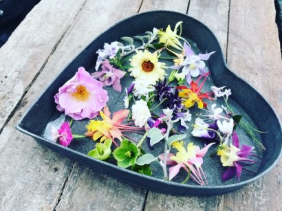“花园实验室”里的人生哲学：还花草于自由，
