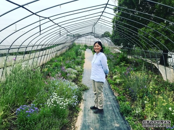 “花园实验室”里的人生哲学：还花草于自由，