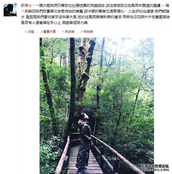 “哲理淇”已上线！舒淇发长文感慨人生坎坷