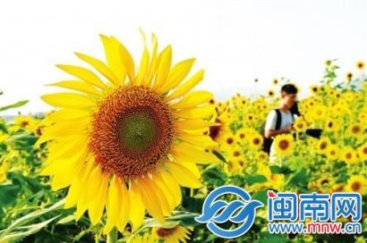 上半年再见下半年你好励志说说 2019迎接下半年正