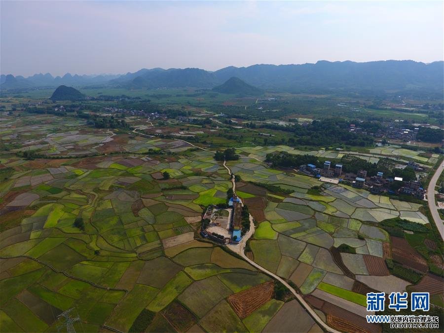 菲律宾举行地震演习