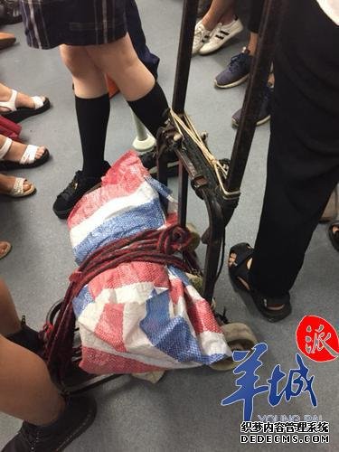 广州地铁拟禁止折叠自行车进站 市民有赞有弹