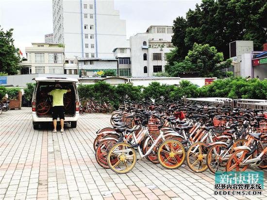 ■地铁客村站B口外，共享单车一排接一排摆放。新快报记者 许力夫/摄