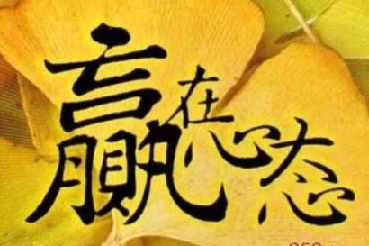 惊人的社会定律