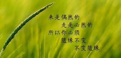人生最不该挥霍的三样东西