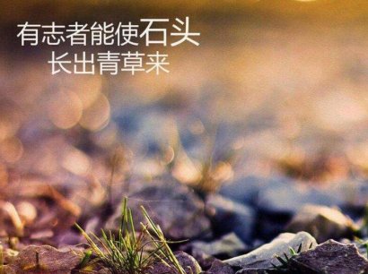 人生两件事：忙着，清醒做事；闲着，糊涂做人