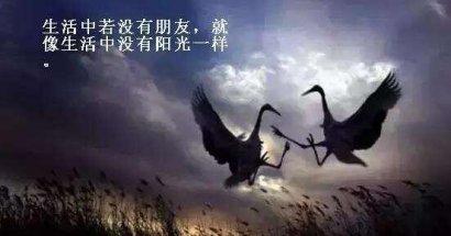 我做过最愚蠢的事情，就是和别人争论