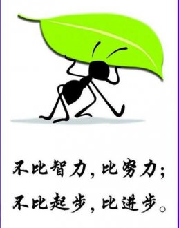 没有人是一座孤岛