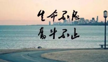 人往往败于坏习惯而非愚蠢