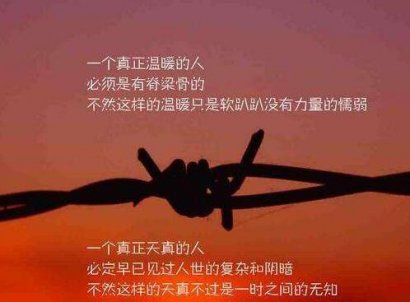 订书针暴露了特工