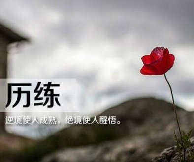 乐于助人的飞行员