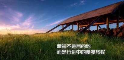 冬瓜不会结在树上