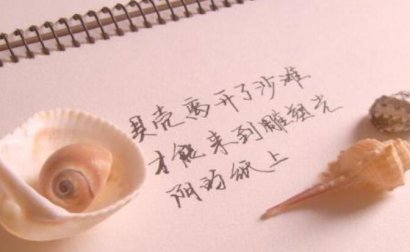 攀上正确的梯子