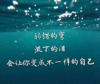还魂草的启示