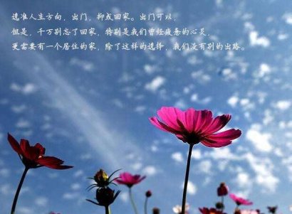 因为懂得