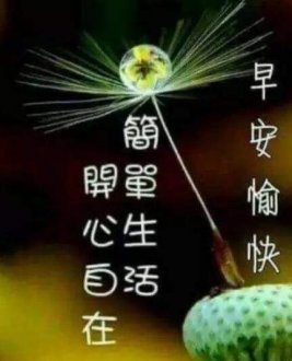 卡梅伦的零分