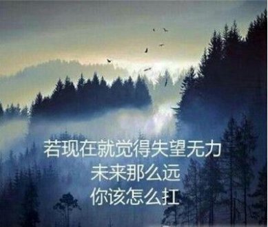 罐子里的哲学