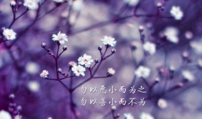 500元买来的机会