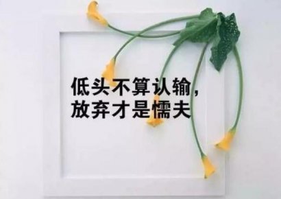 快乐的人生，少一分在意，多一份宽恕