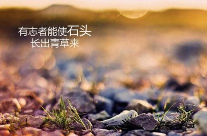 快乐的人生在于少计较