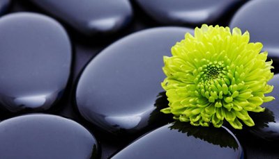 没用的小石子图片