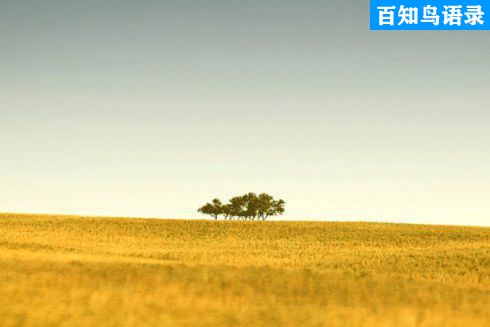 电影《决战中途岛》经典台词、语录