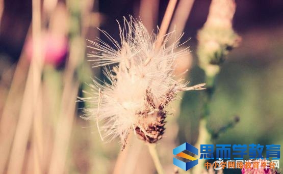 【高中名著中精美语句和名人名言】