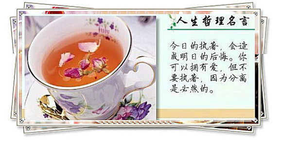 人生哲理名言】