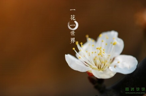 微信截图_20200415140338.png