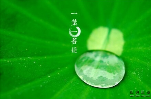 微信截图_20200415140343.png