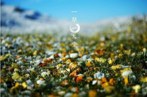 微信截图_20200415140354.png
