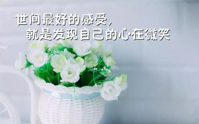 哲理人生感悟微信 经典人生哲理短句