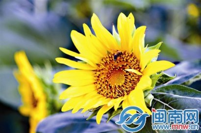 4月再见5月你好图片朋友圈说说配图 2020最新迎接