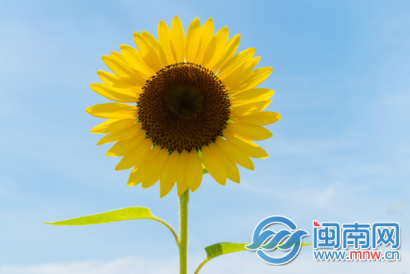 五月你好的唯美句子 再见4月你好5月朋友圈文案