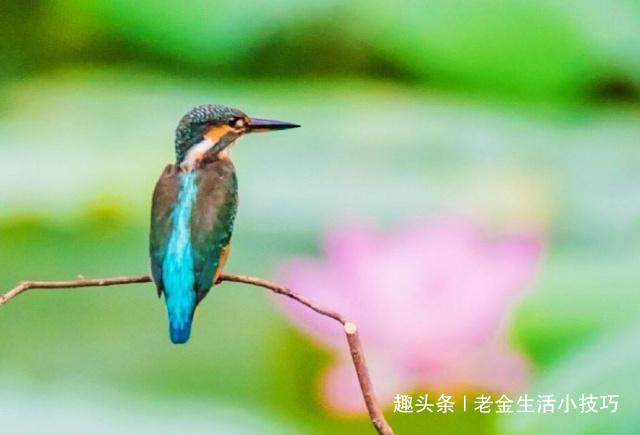 老金生活小技巧|让人感悟至深的人生哲理句子,值得收藏一生!