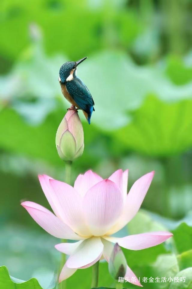 老金生活小技巧|让人感悟至深的人生哲理句子,值得收藏一生!