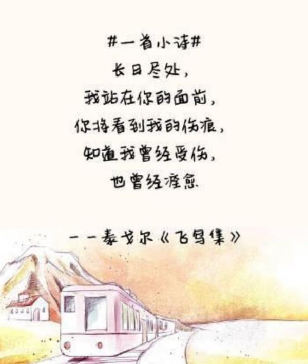 飞鸟集经典语录 从中你领悟很多 揭示人生哲理
