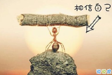 最新哲理句子精辟 哲理说说人生感悟